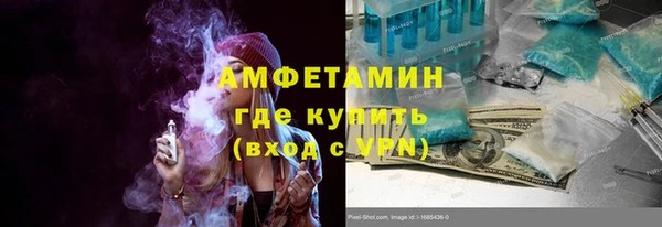 индика Козельск