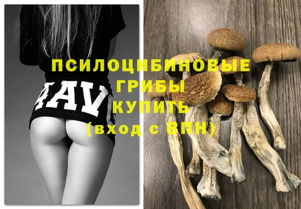 2c-b Абдулино